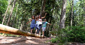 Waldspielplatz im Kinder- und Wellnesshotel für die ganze Familie